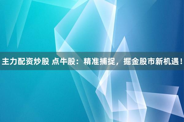 主力配资炒股 点牛股：精准捕捉，掘金股市新机遇！