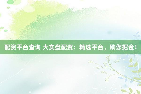 配资平台查询 大实盘配资：精选平台，助您掘金！