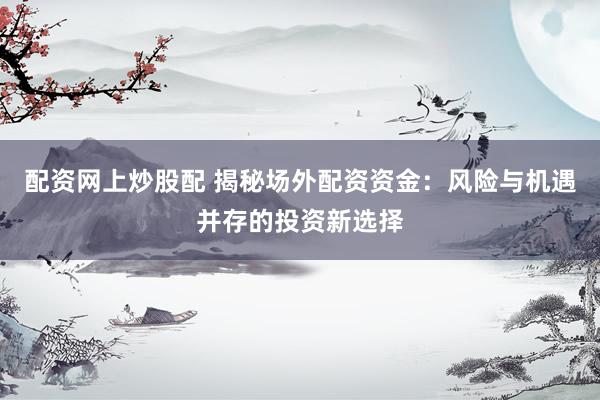 配资网上炒股配 揭秘场外配资资金：风险与机遇并存的投资新选择