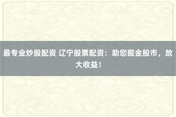 最专业炒股配资 辽宁股票配资：助您掘金股市，放大收益！