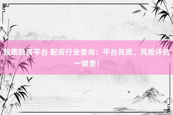 股票融资平台 配资行业查询:平台资质、风险评估一键查!