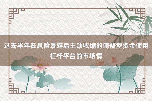 过去半年在风险暴露后主动收缩的调整型资金使用杠杆平台的市场情