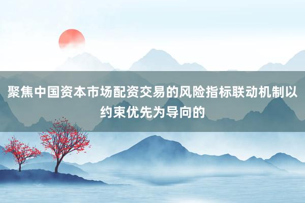 聚焦中国资本市场配资交易的风险指标联动机制以约束优先为导向的