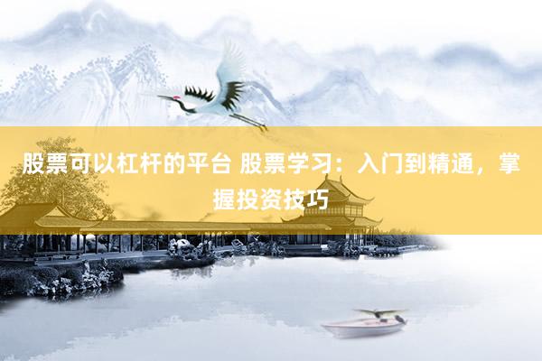 股票可以杠杆的平台 股票学习：入门到精通，掌握投资技巧
