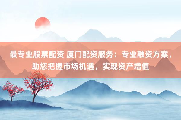 最专业股票配资 厦门配资服务：专业融资方案，助您把握市场机遇，实现资产增值