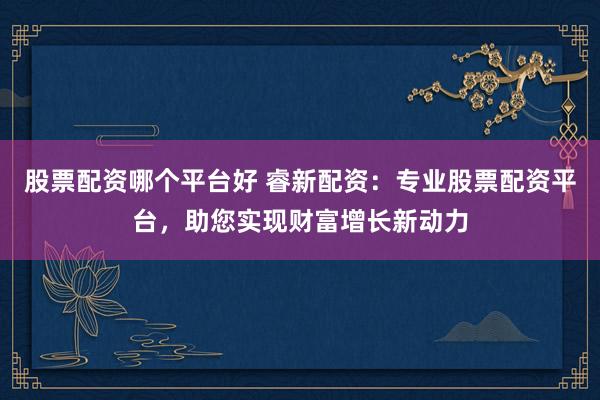 股票配资哪个平台好 睿新配资：专业股票配资平台，助您实现财富增长新动力